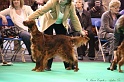 Crufts2011 002